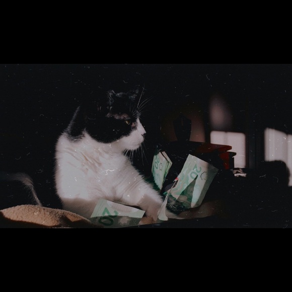 Meet your Posher, Candacy - Picture 1 of 1